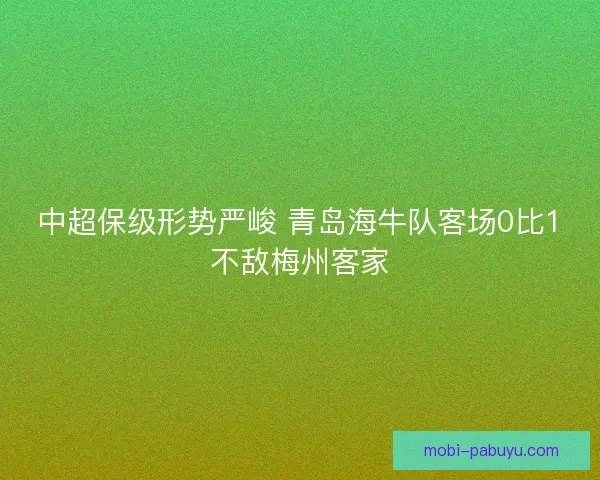 中超保级形势严峻 青岛海牛队客场0比1不敌梅州客家