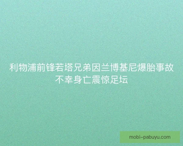 利物浦前锋若塔兄弟因兰博基尼爆胎事故不幸身亡震惊足坛