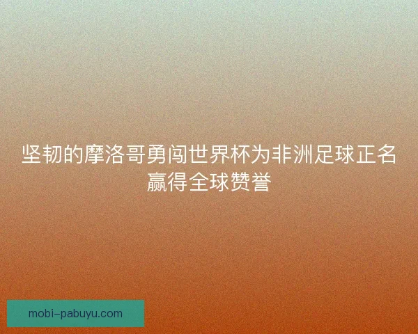 坚韧的摩洛哥勇闯世界杯为非洲足球正名赢得全球赞誉